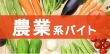 1年のうち短期間集中して稼ぎたいなら…しっかり稼げる農業バイトがオススメ！