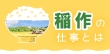 初心者でも大丈夫！稲作の仕事を始めるときの心がけ