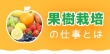 果樹栽培のお仕事を始める時に知っておいた方がいいことは？
