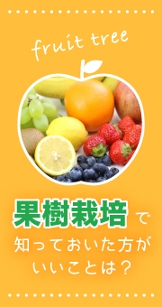 果樹栽培のお仕事を始める時に知っておいた方がいいことは？