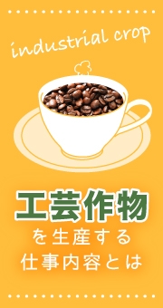 工芸作物を生産する仕事、必要な能力や仕事内容とは