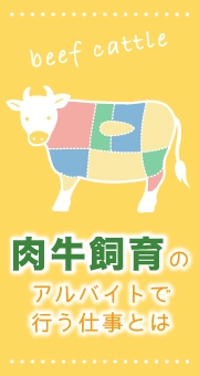 肉牛飼育のアルバイトで行う仕事とは