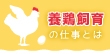 初心者OK！安心サポートでやりがいのある養鶏飼育の仕事