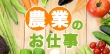 1年のうち短期間集中して稼ぎたいなら…しっかり稼げる農業バイトがオススメ！