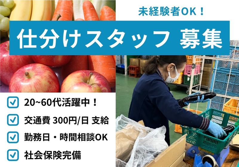 倉庫内で野菜の出荷補助