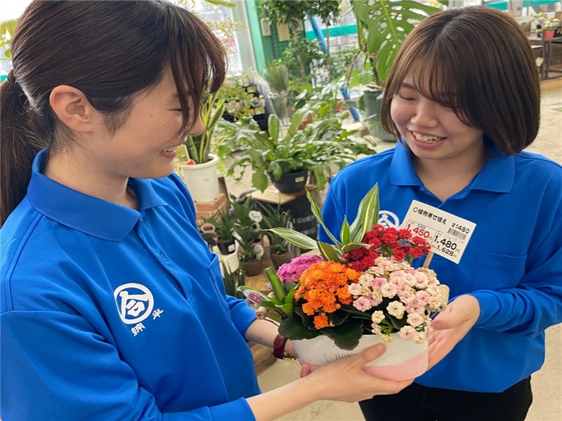 綿半ホームエイド庄内店