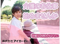 株式会社アイエーイー