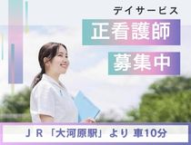 デイサービスの正看護師