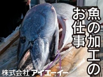 冷凍マグロの切断加工