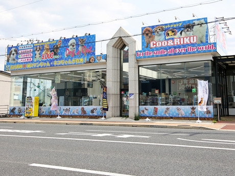 Bs job img 2 20250906085043750