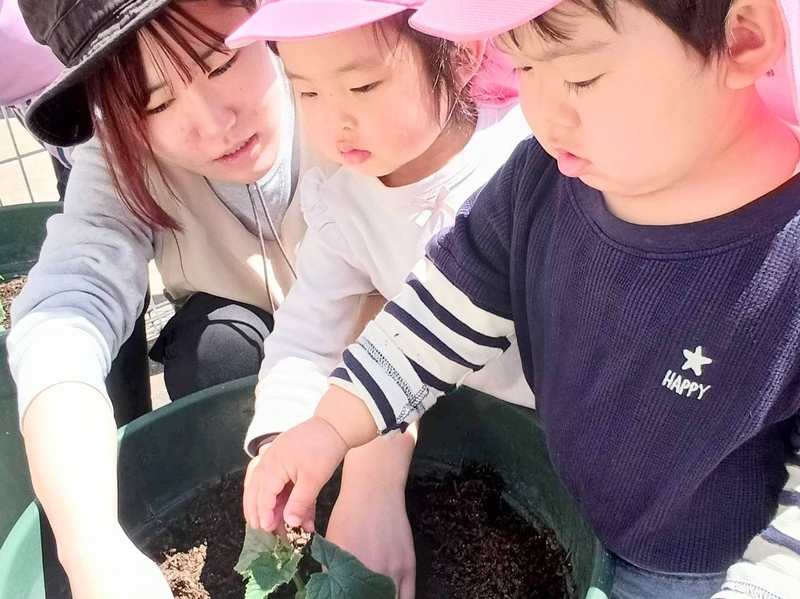 Bs job img 2 20251031143617446