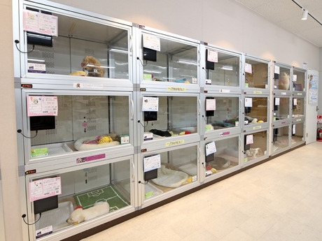 Bs job img 3 20251105105559134