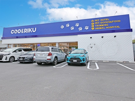 Bs job img 2 20251105105556821