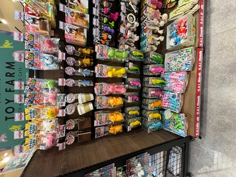 Bs job img 2 20251101095235785