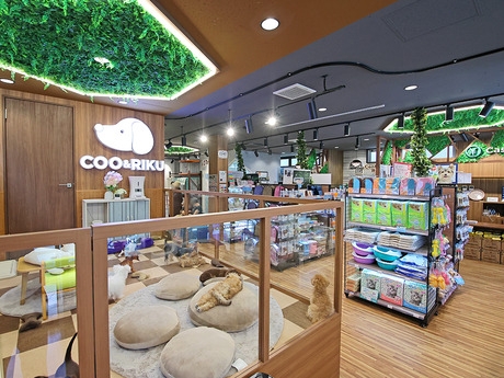 Bs job img 3 20251105105600302