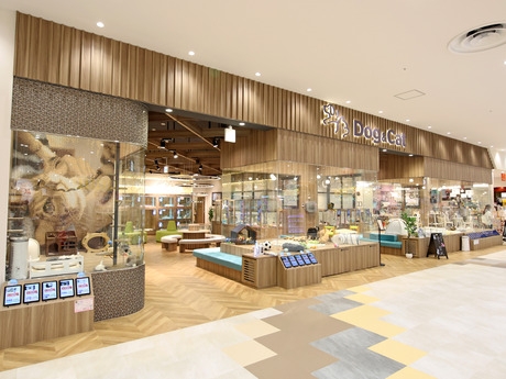 Bs job img 3 20251105105557616