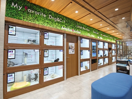 Bs job img 3 20251105105556987