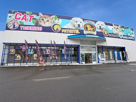 Bs job img 2 20251105105559447