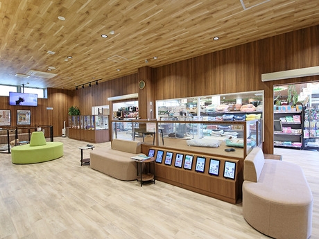 Bs job img 3 20251105105558103