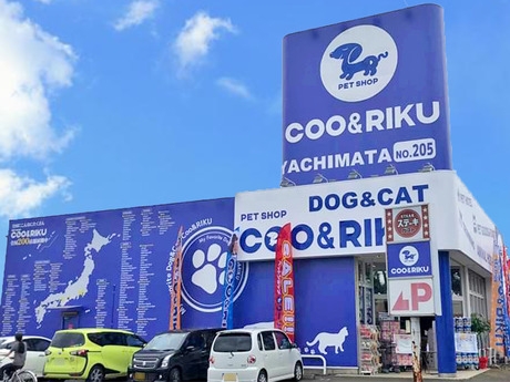 Bs job img 2 20251105105556941