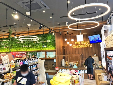 Bs job img 3 20251105105556941