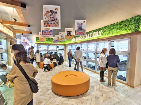 Bs job img 3 20251105105558352