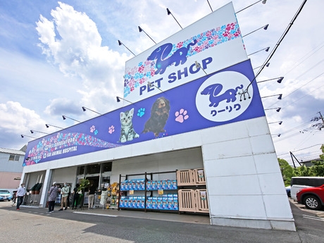 Bs job img 2 20251105105556848