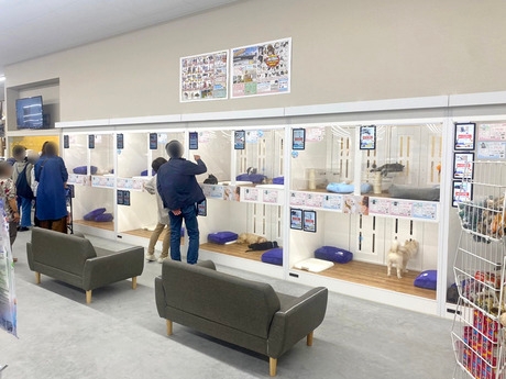 Bs job img 2 20251105105557524