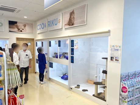 Bs job img 2 20251105105557547