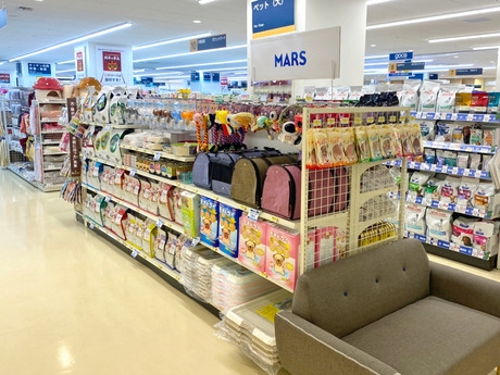 Bs job img 3 20251105105557547