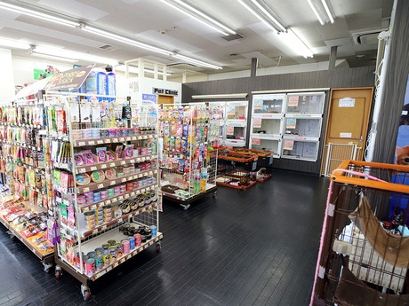 Bs job img 3 20251101095338329