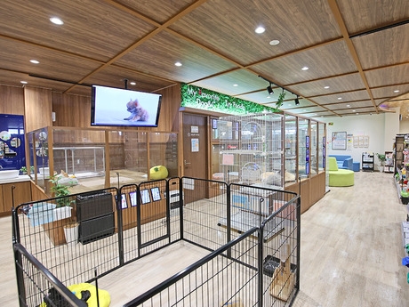 Bs job img 2 20251105105557770