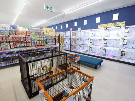 Bs job img 2 20251105105558120