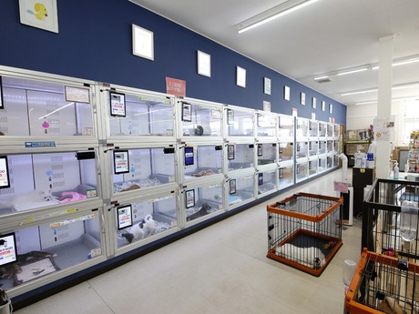 Bs job img 3 20251105105558120