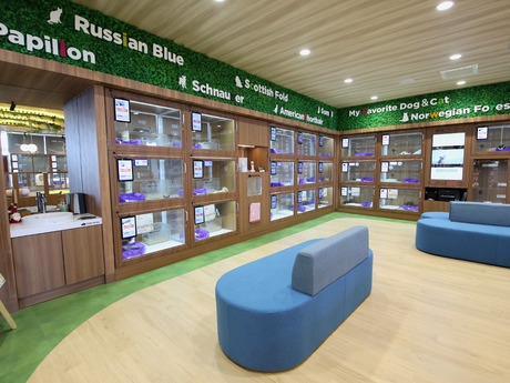 Bs job img 2 2025110510555972