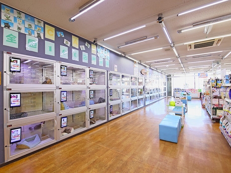 Bs job img 3 2025110510555992