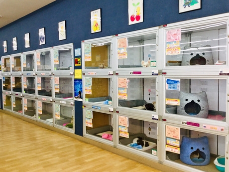 Bs job img 3 20251105105559197