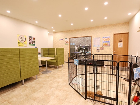 Bs job img 3 20251105105600573