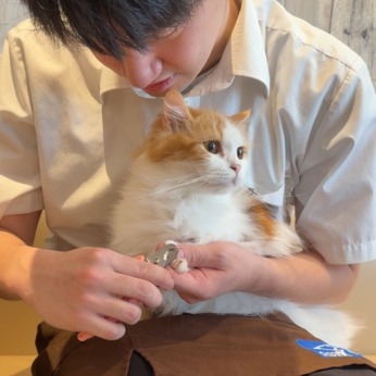 ペットショップCoo&RIKU　浅草店(東京都台東区/浅草駅/その他(販売・サービス・アパレル系))_1