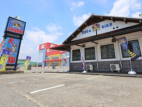 Bs job img 2 20251101095406738