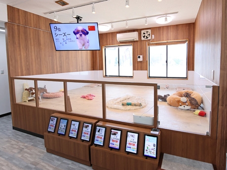 Bs job img 3 20251101095406738