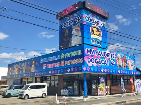 Bs job img 2 2025110109540791