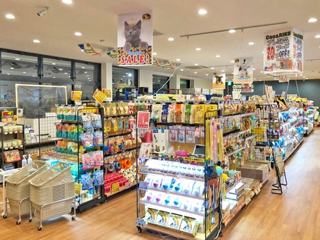 Bs job img 3 2025110109540791