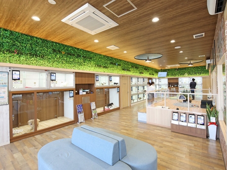 Bs job img 3 20251101095407186