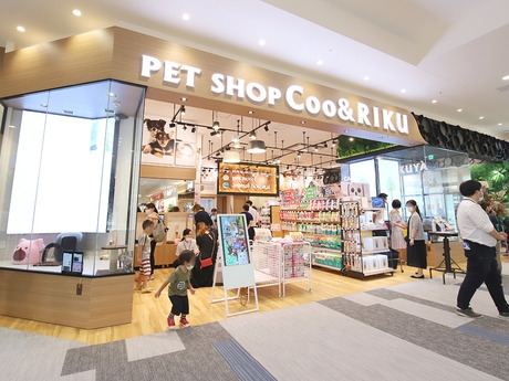 Bs job img 2 20251101095407273