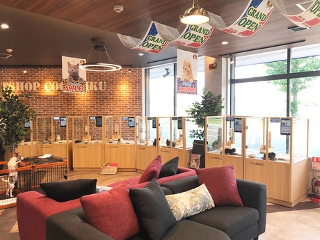 Bs job img 3 20251101095420644