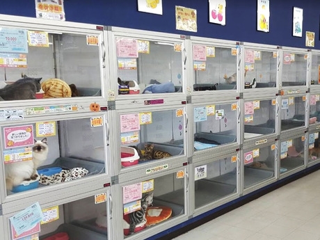 Bs job img 3 20251101095420731