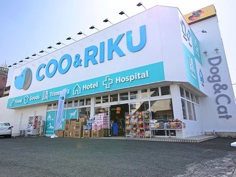 Bs job img 2 20251101095422518