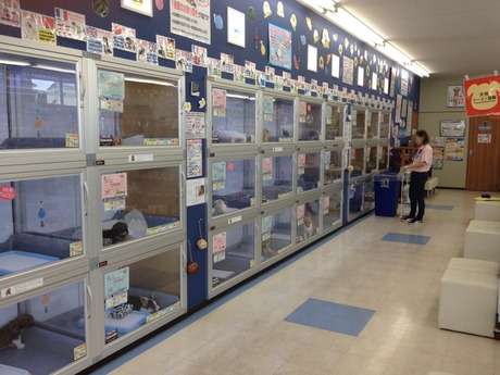 Bs job img 3 20251101095422623