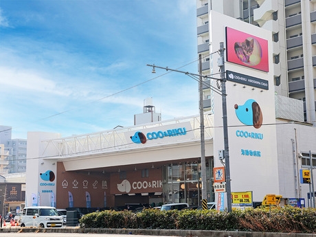 Bs job img 2 2025110510555733